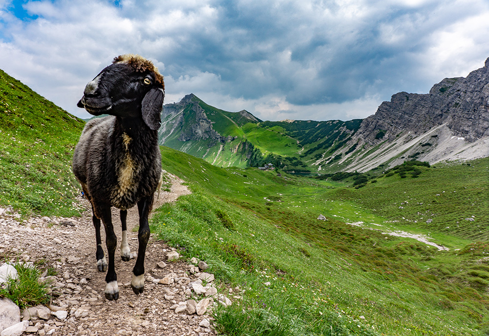 Frau Bergschön Oberallgäu Lachenspitze Bergwandern Tour