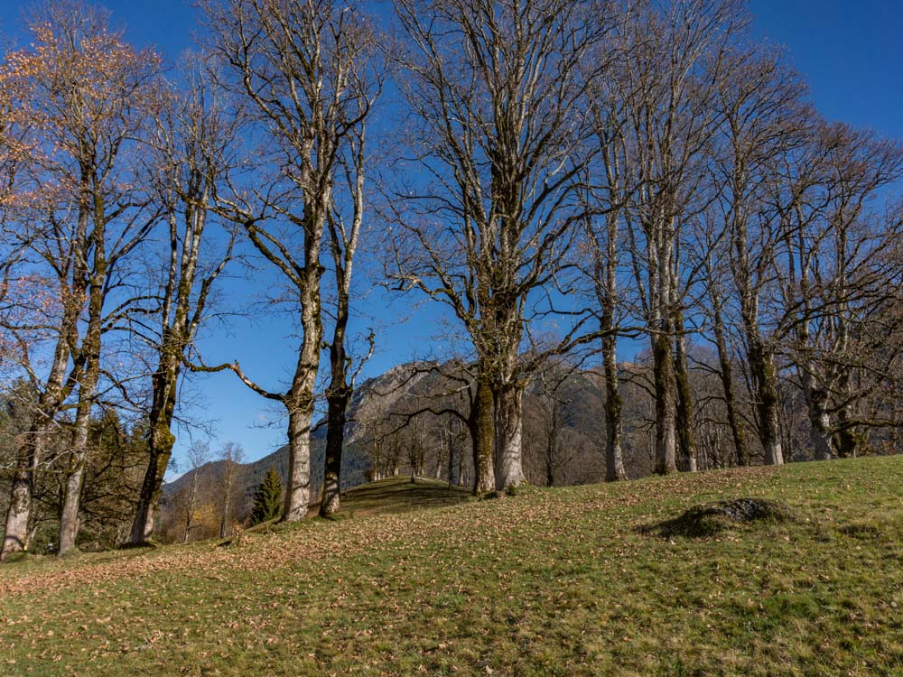 oberstdorf oberallgäu oberstdorf bergschön frau bergschön