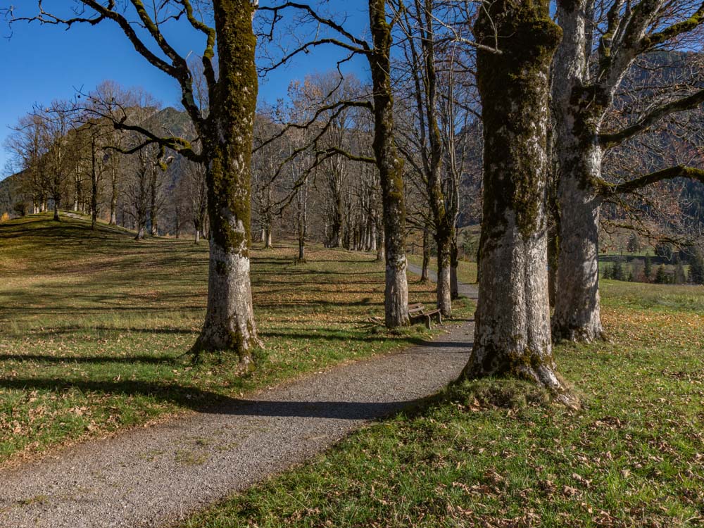 oberstdorf oberallgäu oberstdorf bergschön frau bergschön