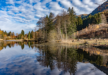 Frau Bergschön Moorweiher Oberstdorf