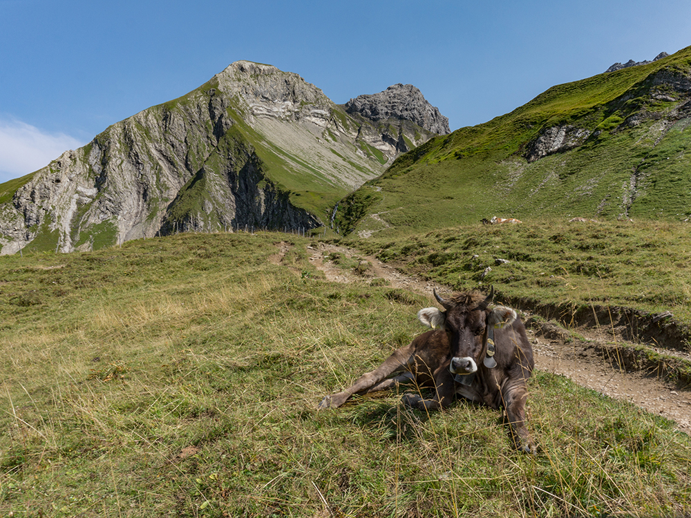 Frau Bergschön Oberallgäu Rappensee Rappental Alpe Tour Bergtour