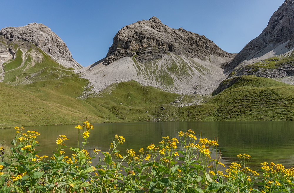 Frau Bergschön Oberallgäu Rappensee Rappental Alpe Tour Bergtour