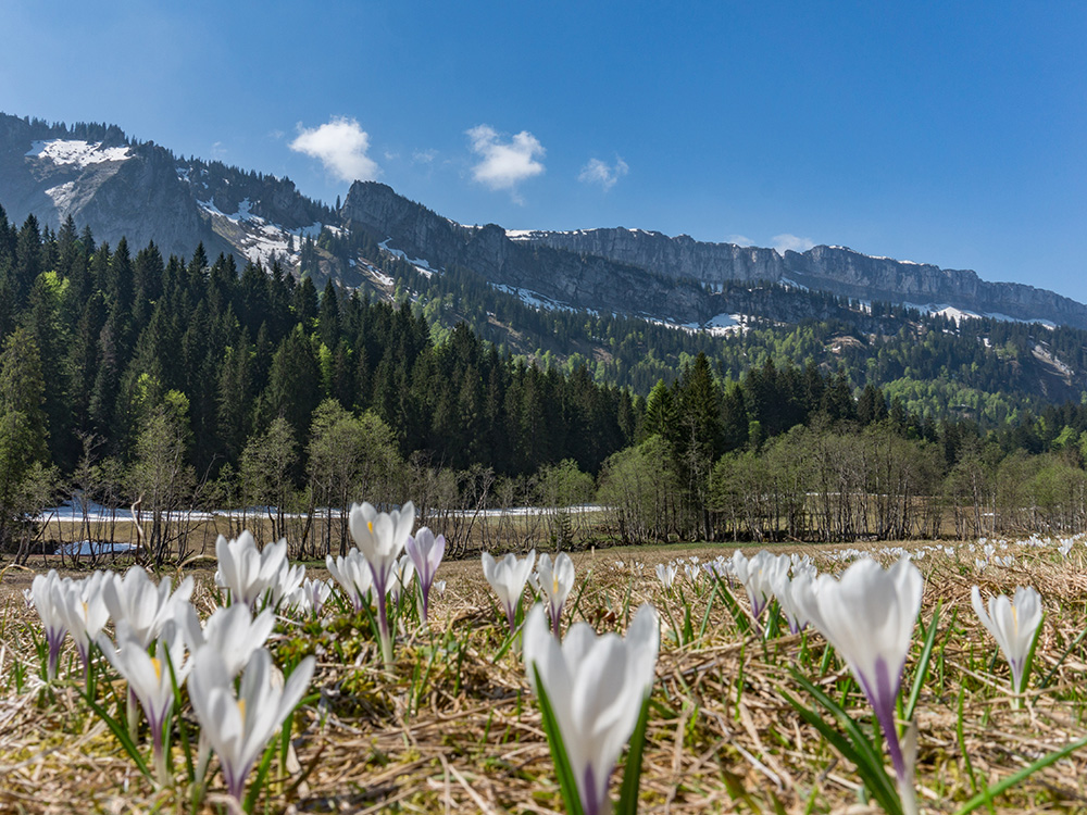 Frau bergschön Rohrmooser Tal Biketour