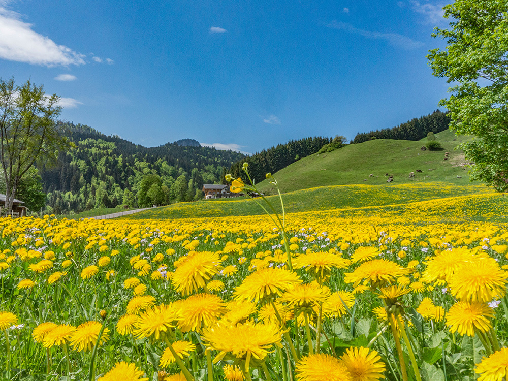 Frau bergschön Rohrmooser Tal Biketour