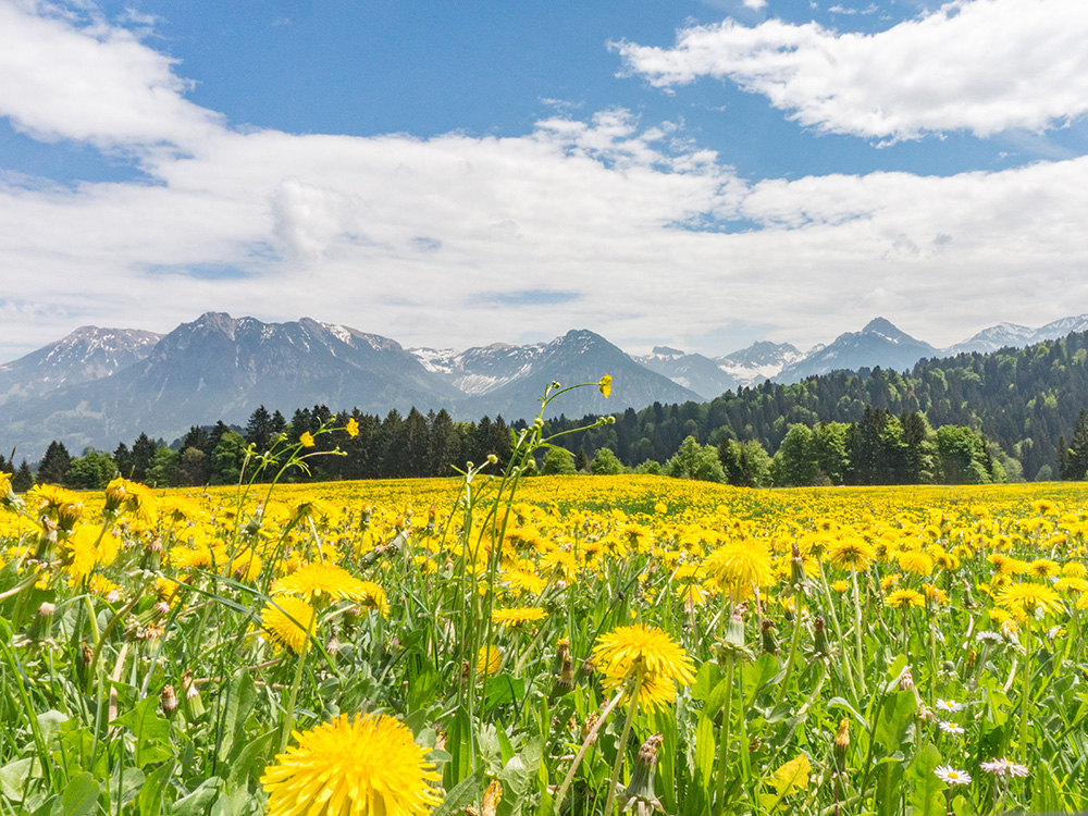 Frau bergschön Rohrmooser Tal Biketour