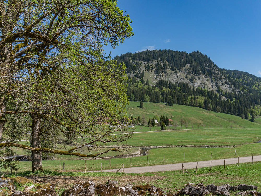 Frau bergschön Rohrmooser Tal Biketour