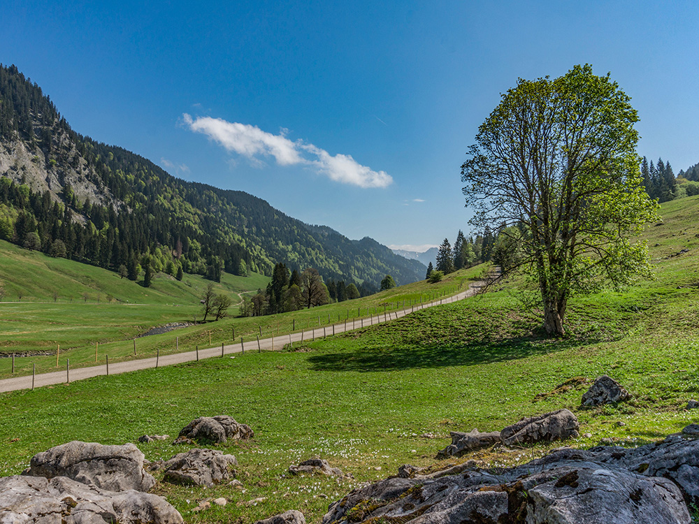 Frau bergschön Rohrmooser Tal Biketour