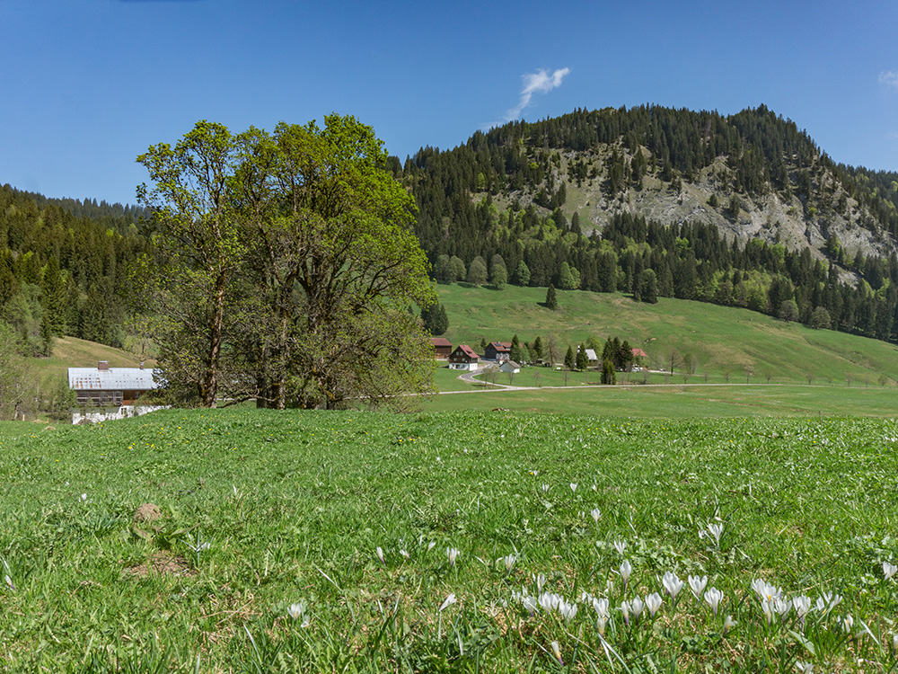 Frau bergschön Rohrmooser Tal Biketour