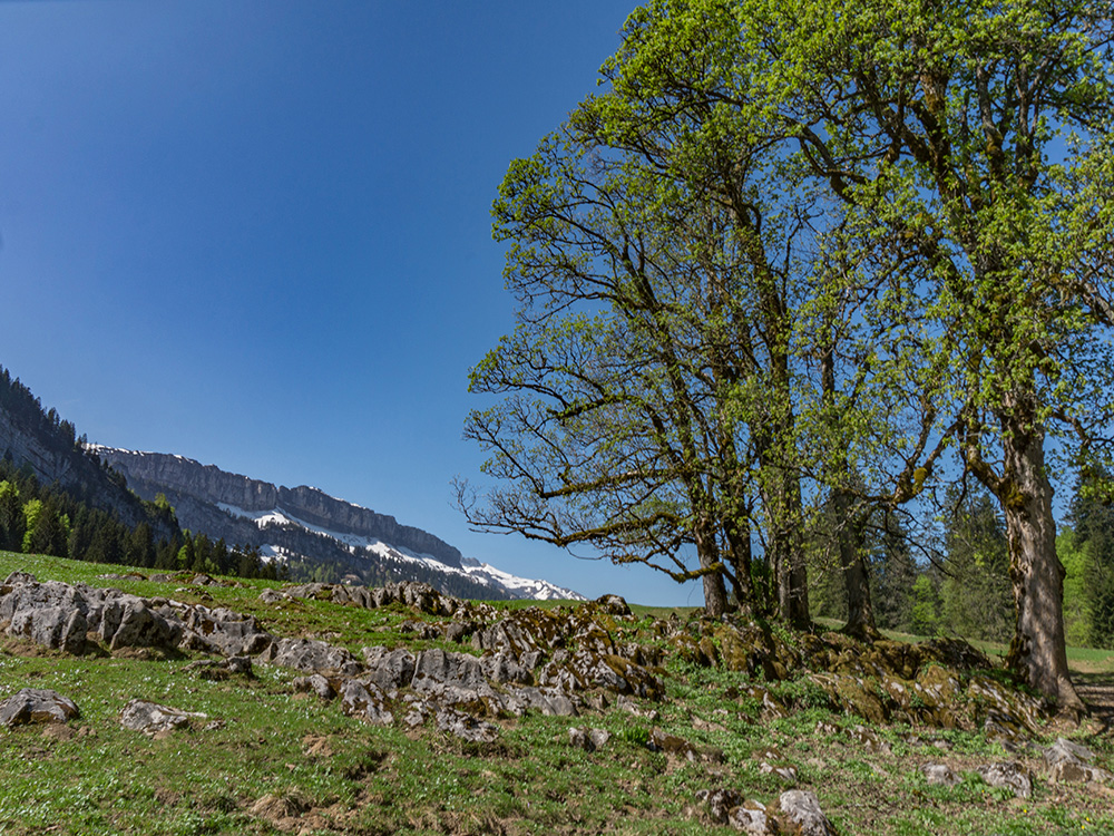 Frau bergschön Rohrmooser Tal Biketour