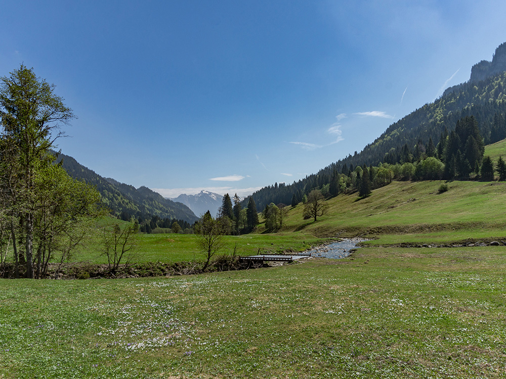 Frau bergschön Rohrmooser Tal Biketour