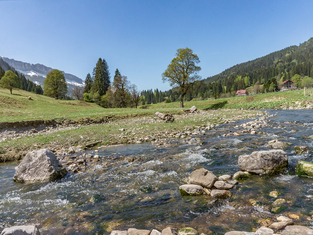 Frau bergschön Rohrmooser Tal Biketour