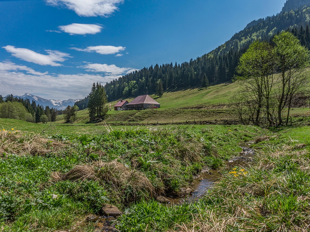 Frau bergschön Rohrmooser Tal Biketour