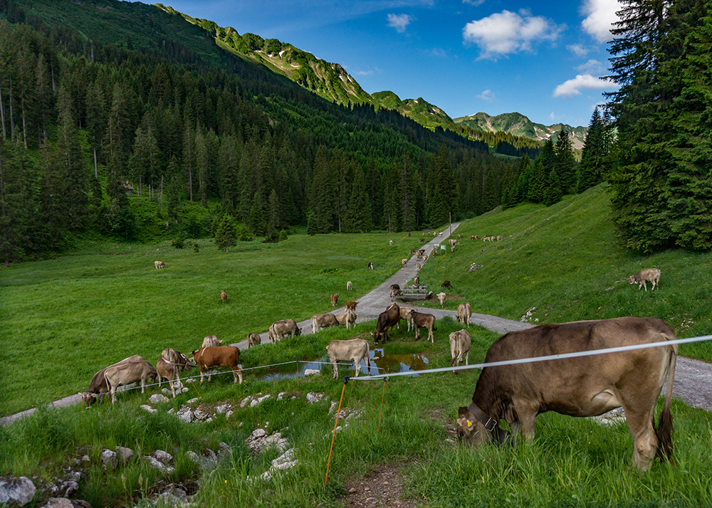 Frau Bergschön Oberallgäu SChwarzwassertal Hütte Schwarzwasser