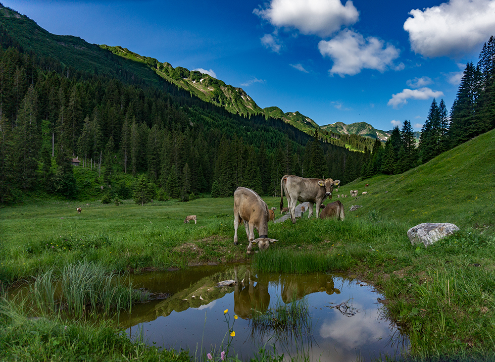 Frau Bergschön Oberallgäu SChwarzwassertal Hütte Schwarzwasser