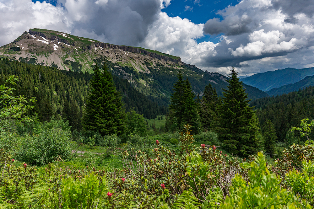 Frau Bergschön Oberallgäu SChwarzwassertal Hütte Schwarzwasser