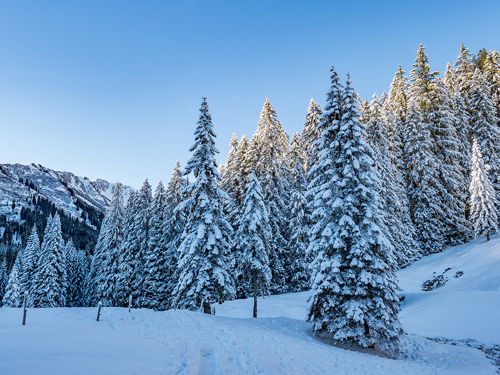 Frau Bergschön Schwarzwassertal Kleinwalsertal