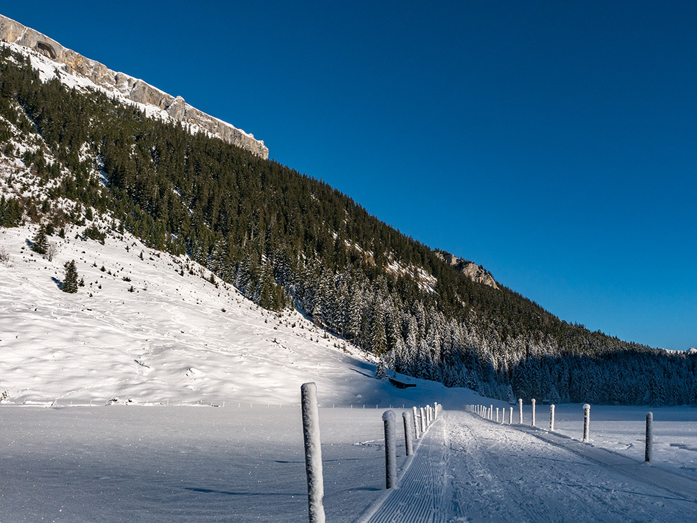 Frau Bergschön Schwarzwassertal Kleinwalsertal