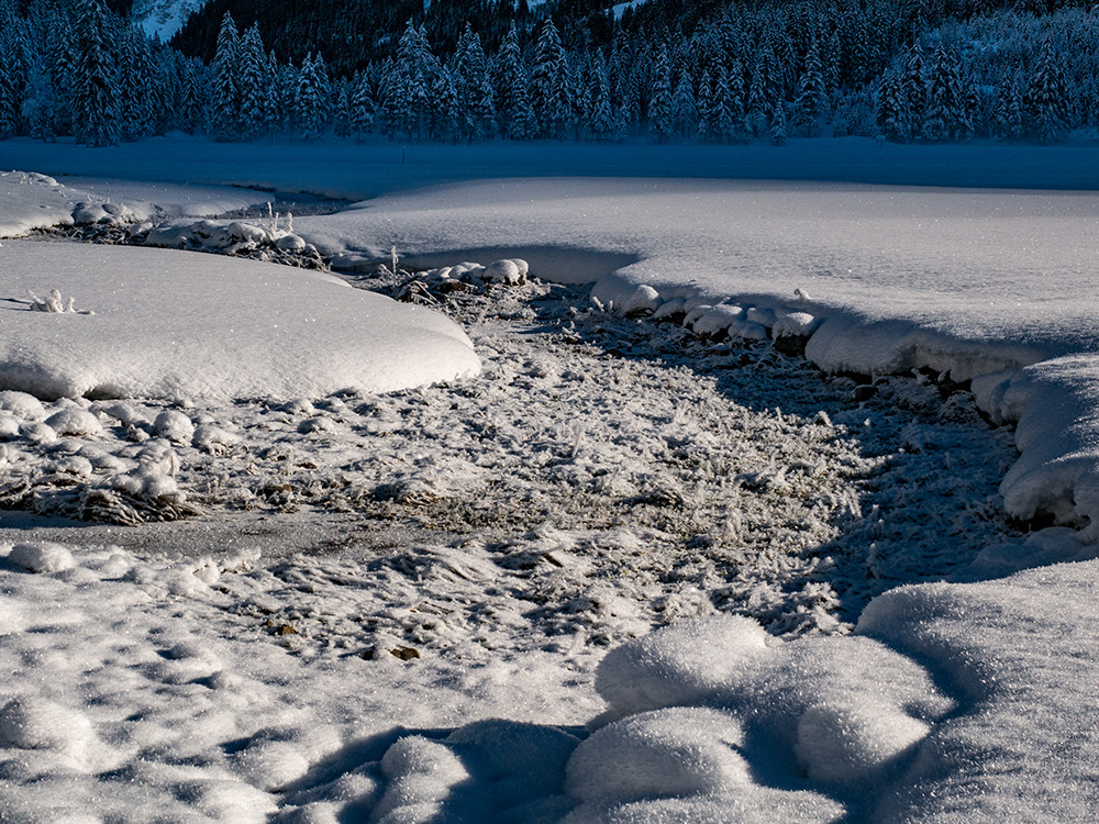 Frau Bergschön Schwarzwassertal Kleinwalsertal