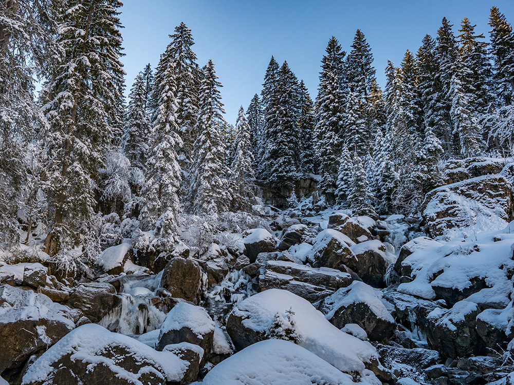 Frau Bergschön Schwarzwassertal Kleinwalsertal