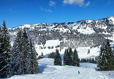 Bergschön Oberallgäu Ski Balderschwang