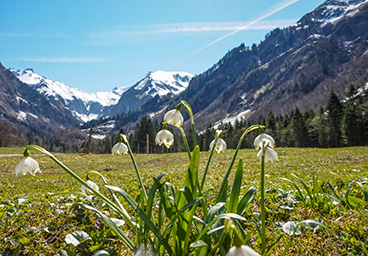 Bergschön Oberallgäu Spielmannsau