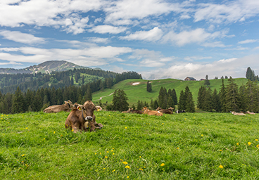 Bergschön Oberallgäu Steigbachtal Tour Immenstadt Frau Bergschön