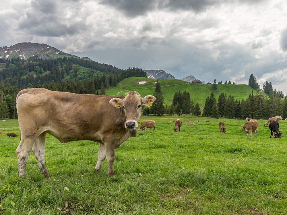 Frau Bergschön Steigbachtal Bergtour