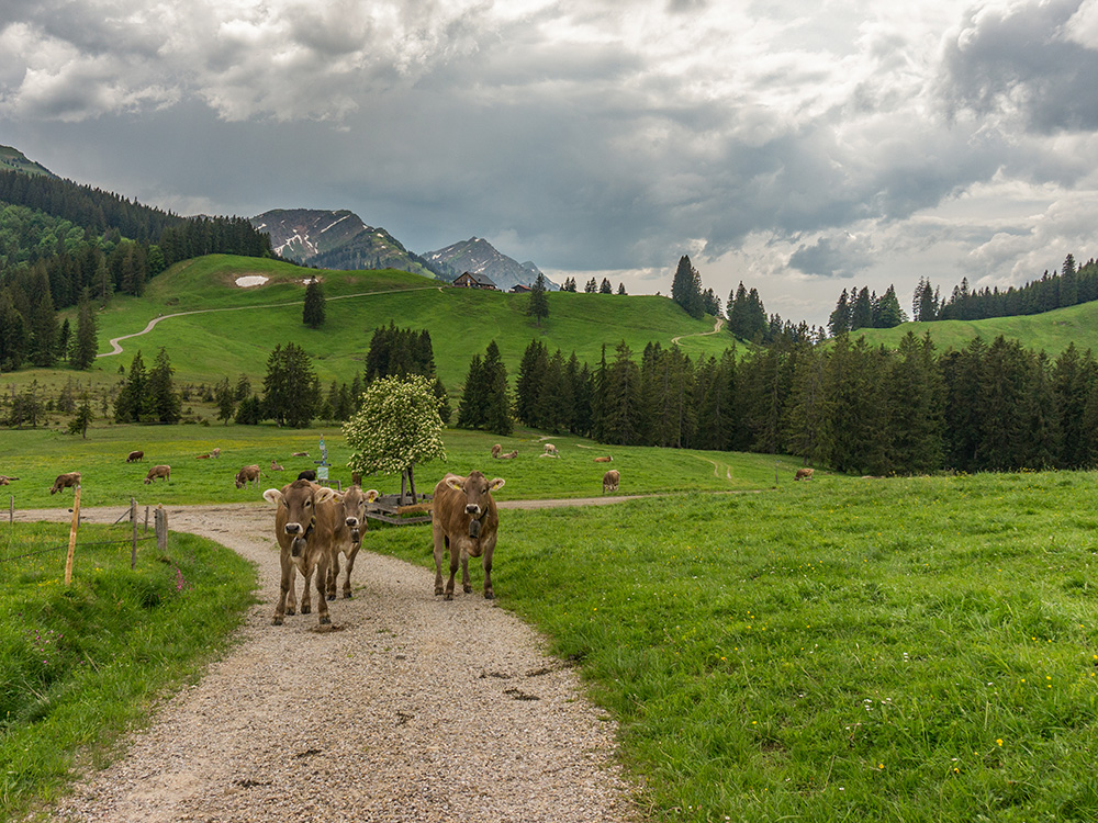 Frau Bergschön Steigbachtal Bergtour