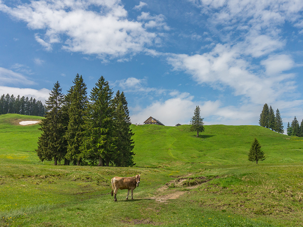 Frau Bergschön Steigbachtal Bergtour