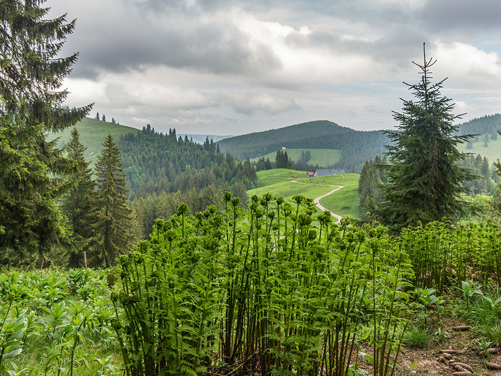 Frau Bergschön Steigbachtal Bergtour