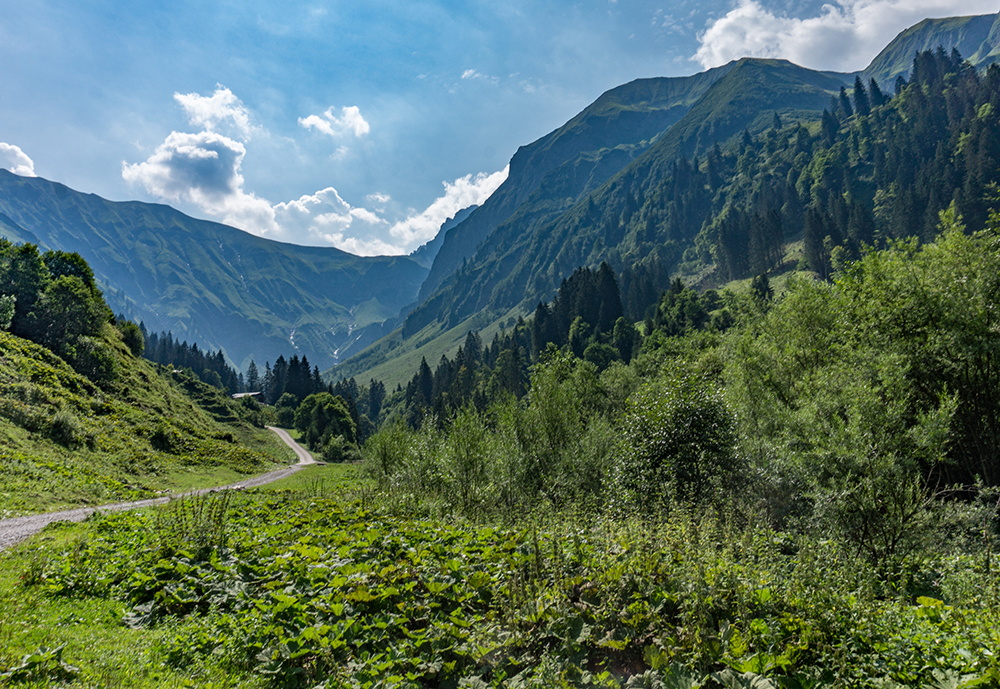 Frau BErgschön Traufbachtal