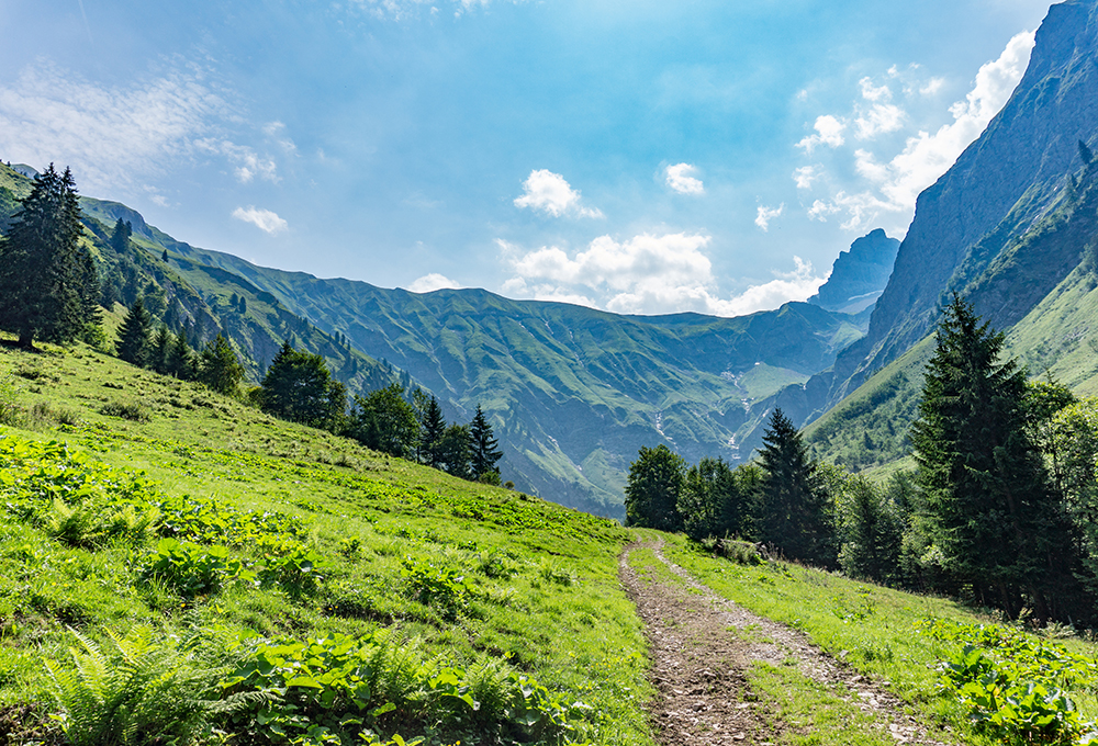 Frau BErgschön Traufbachtal