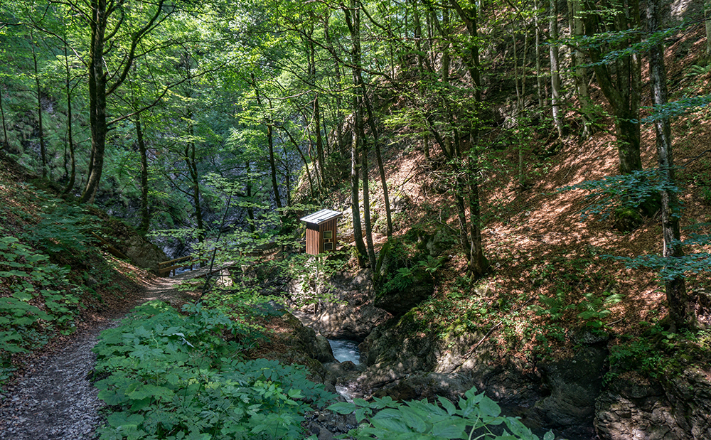 Frau BErgschön Traufbachtal