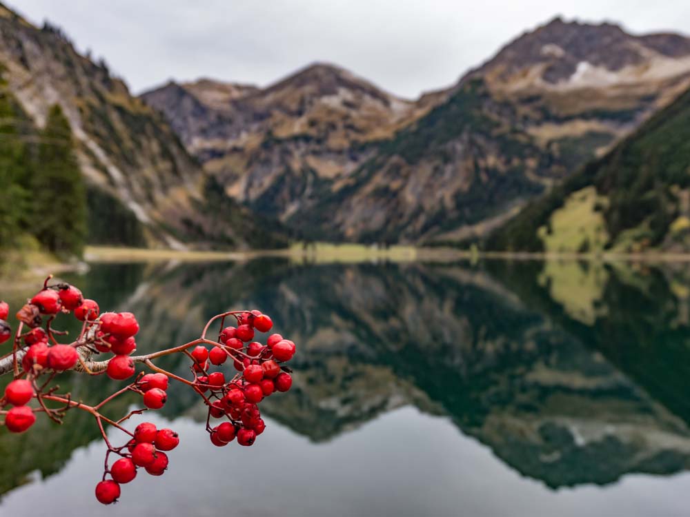 vilsalpsee tannheimer tal bergschön frau bergschön