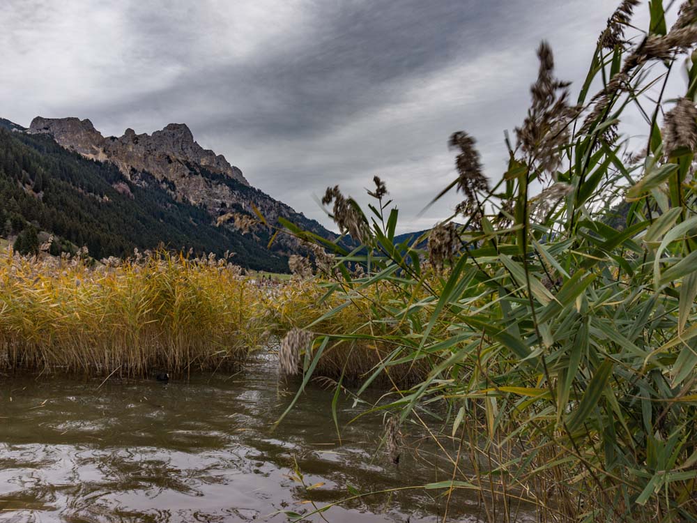 vilsalpsee tannheimer tal bergschön frau bergschön