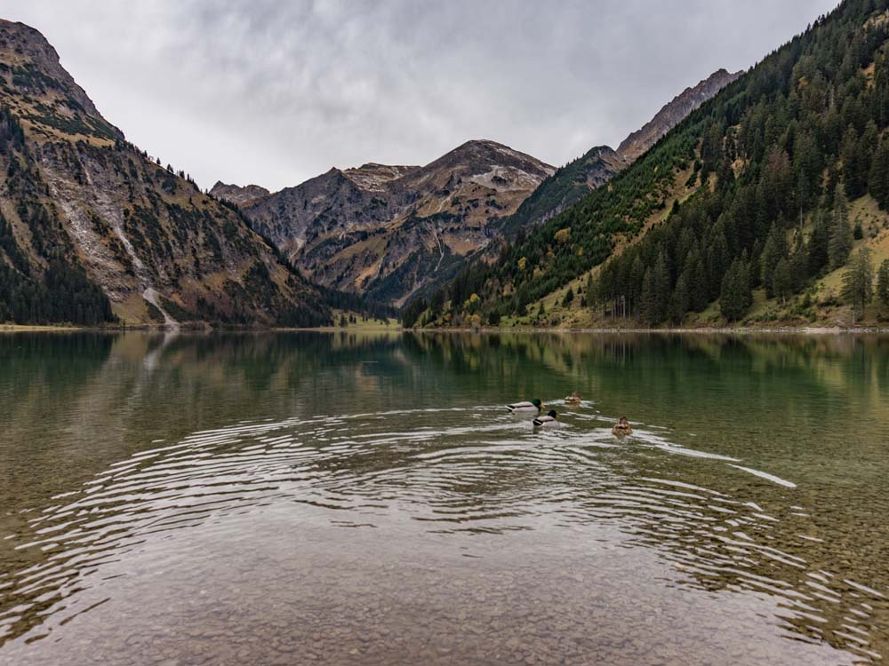 vilsalpsee tannheimer tal bergschön frau bergschön