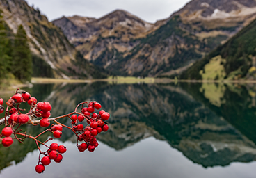 Bergschön Kleinwalsertal Tannheimertal Vilsalpsee