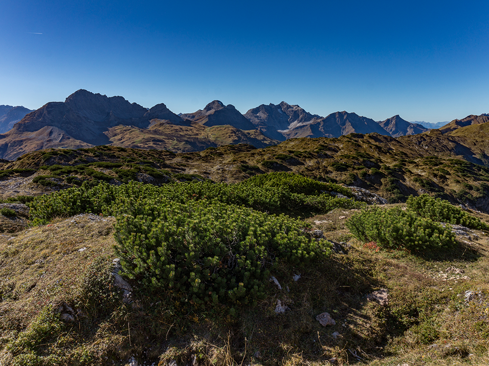 kleinwalsertal walser geißhorn bergschön frau bergschön