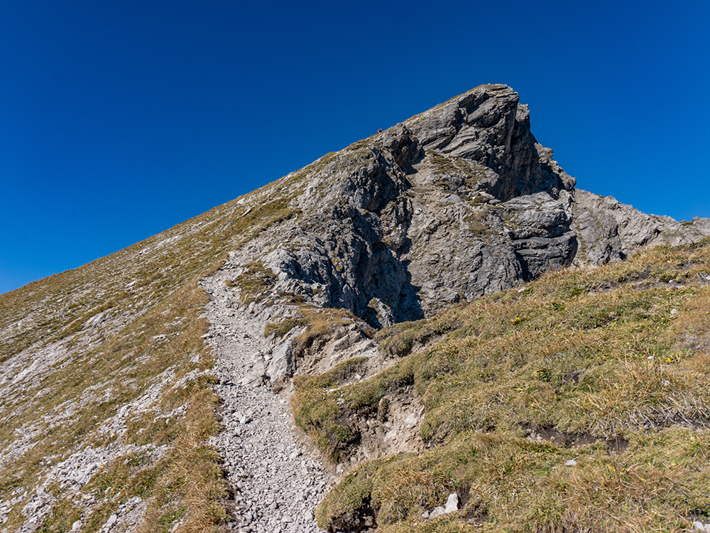 kleinwalsertal walser geißhorn bergschön frau bergschön