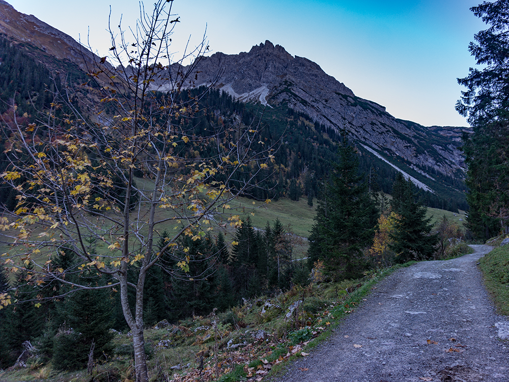 kleinwalsertal walser geißhorn bergschön frau bergschön