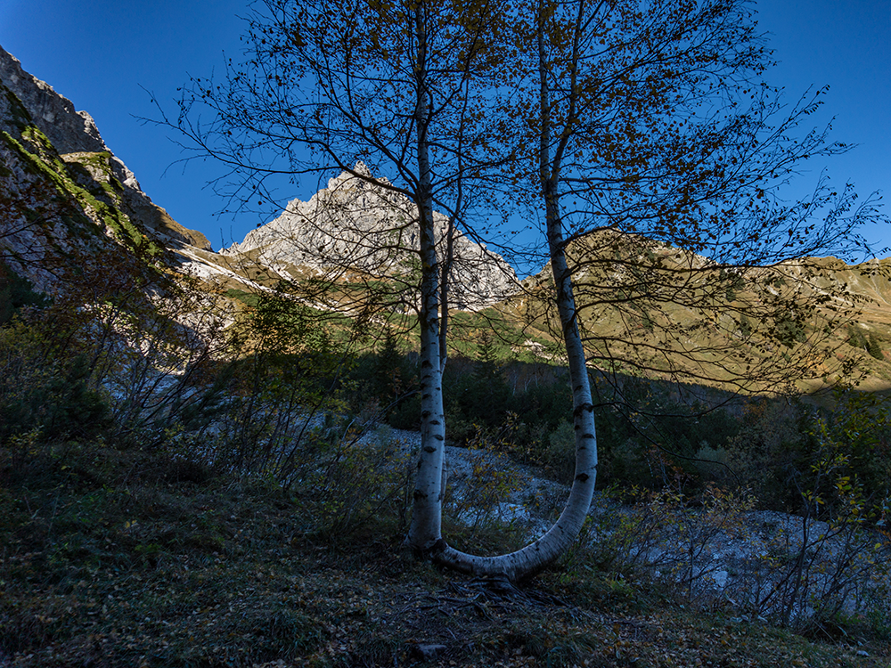 kleinwalsertal walser geißhorn bergschön frau bergschön