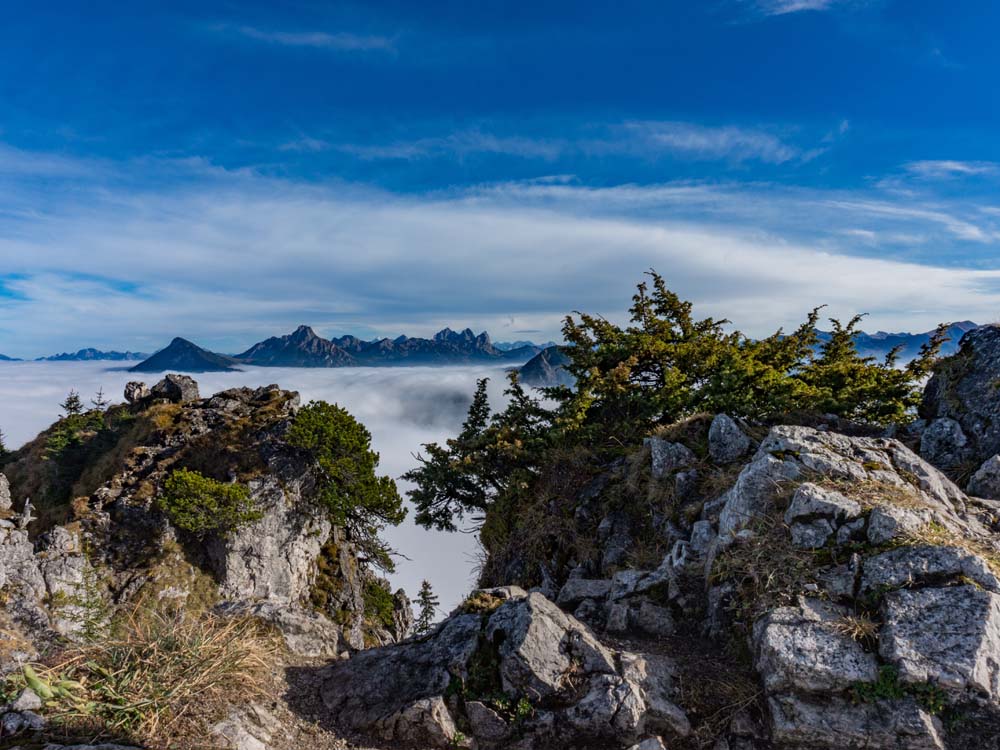 zinken sorgschrofen tirol tannheimer tal bergschön frau bergschön