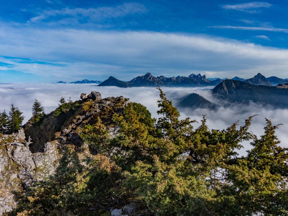 zinken sorgschrofen tirol tannheimer tal bergschön frau bergschön