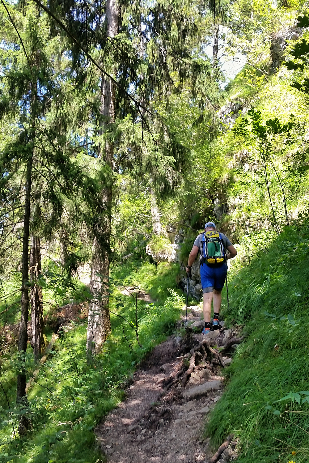 Frau Bergschön Zipelsalpe