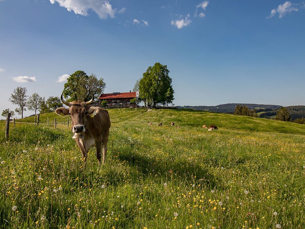 Frau BErgschön Siedelalpe Mädels Tour