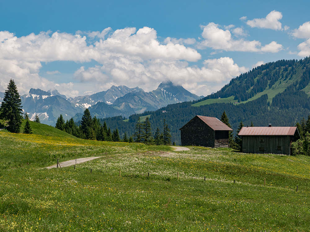 Frau Bergschön Oberallgäu Alpe Osterberg Wanderung Tipps Einkehren Essen