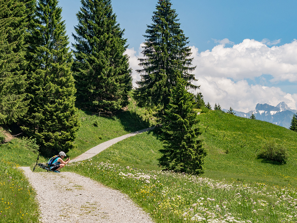 Frau Bergschön Oberallgäu Alpe Osterberg Wanderung Tipps Einkehren Essen