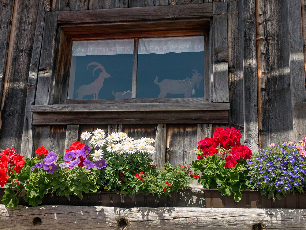 Frau Bergschön Oberallgäu Alpe Osterberg Wanderung Tipps Einkehren Essen