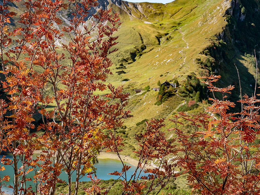 Frau Bergschön Engeratgundsee