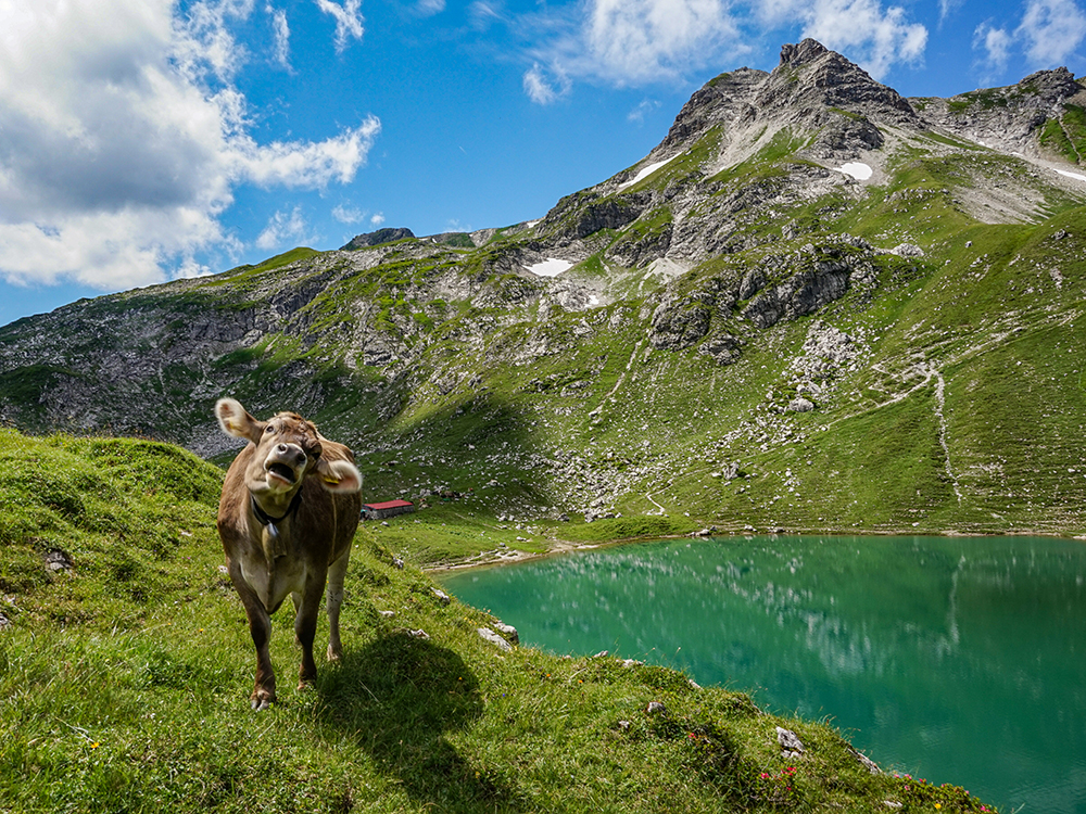 Frau Bergschön Engeratgundsee